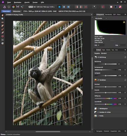 Development mode in Affinity Photo
