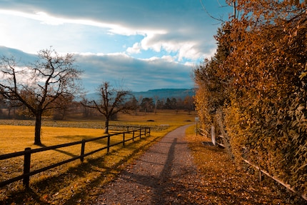 Bleu -100, Orange +80