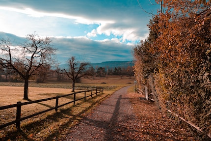 La même chose désaturée