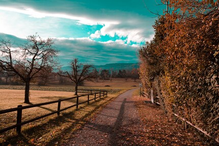 Une bonne dose de turquoise par-dessus.