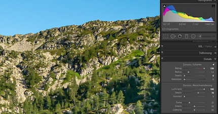 La rimozione eccessiva del rumore porta effetti collaterali simili alla pittura.