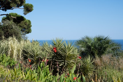 Caricata a piena risoluzione