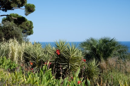 Ridimensionata erroneamente e non resa nitida