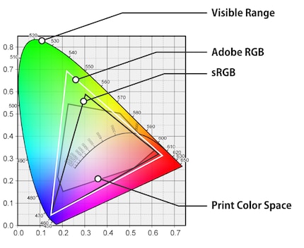 Gli spazi colore di fotocamere, monitor e stampanti coprono solo una parte dello spazio colore che percepiscono i nostri occhi.