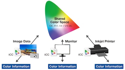 I profili ICC traducono le informazioni cromatiche di uno spazio colore nel linguaggio dell’hardware e viceversa.
