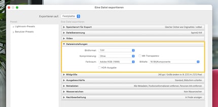Se vuoi elaborare ulteriormente un file o stamparlo, ti consiglio di esportarlo come TIFF con un’elevata profondità di colore.