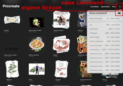 Usa il segno più per creare una nuova tela. Clicca di nuovo sul segno più in cima all'elenco per definire il tuo modello personale.